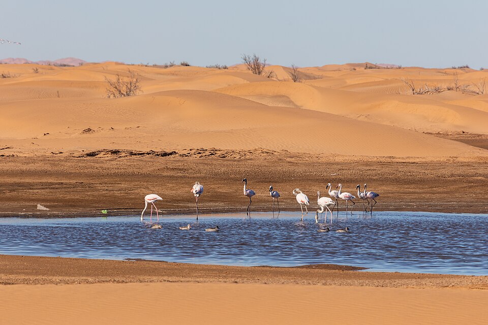 Walvis Bay — local market for mobile commerce apps