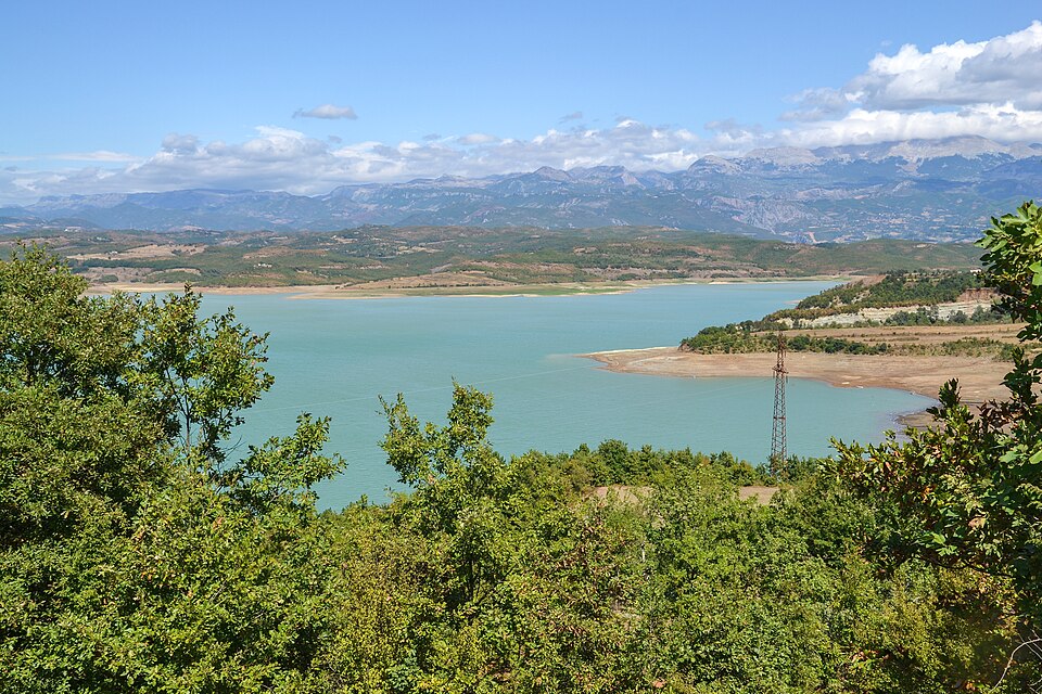 Albania — international and multi-region stores for local businesses