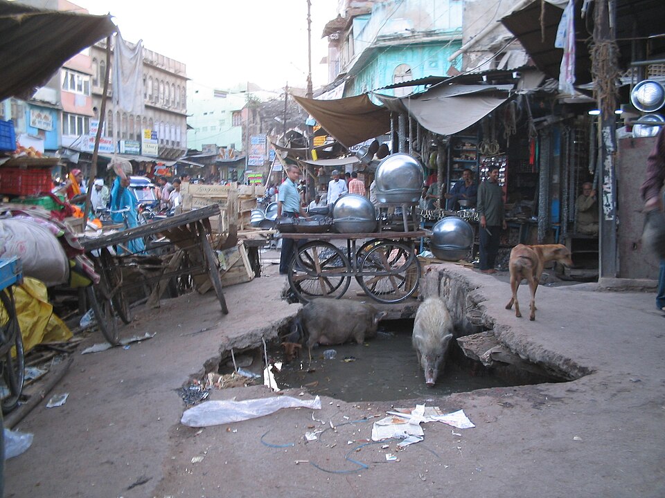 Ajmer — local market for subscription and membership platforms