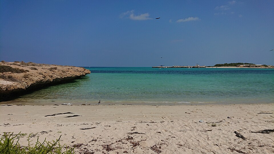Djibouti — local market for manufacturer and distributor portals