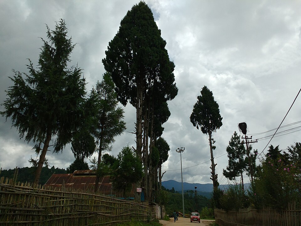 Ziro — local market for international and multi-region stores