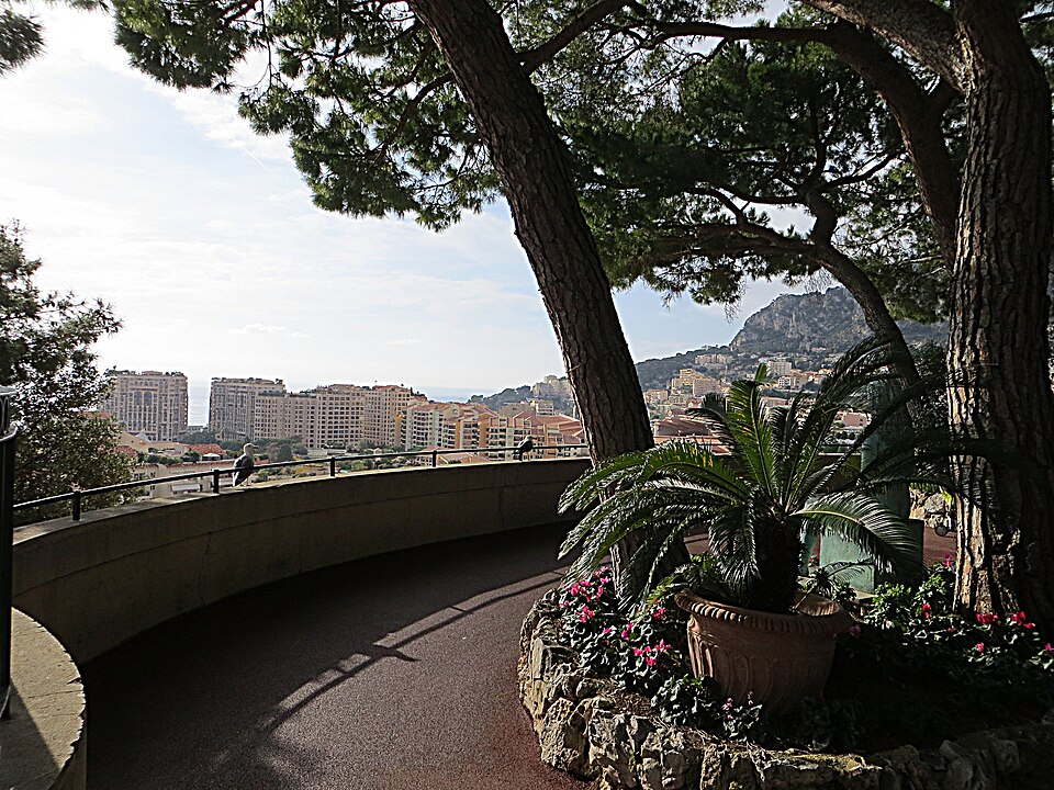 Monaco-Ville — subscription and membership platforms for local businesses