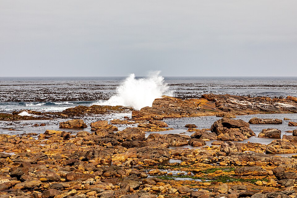 Cape Town — manufacturer and distributor portals for local businesses