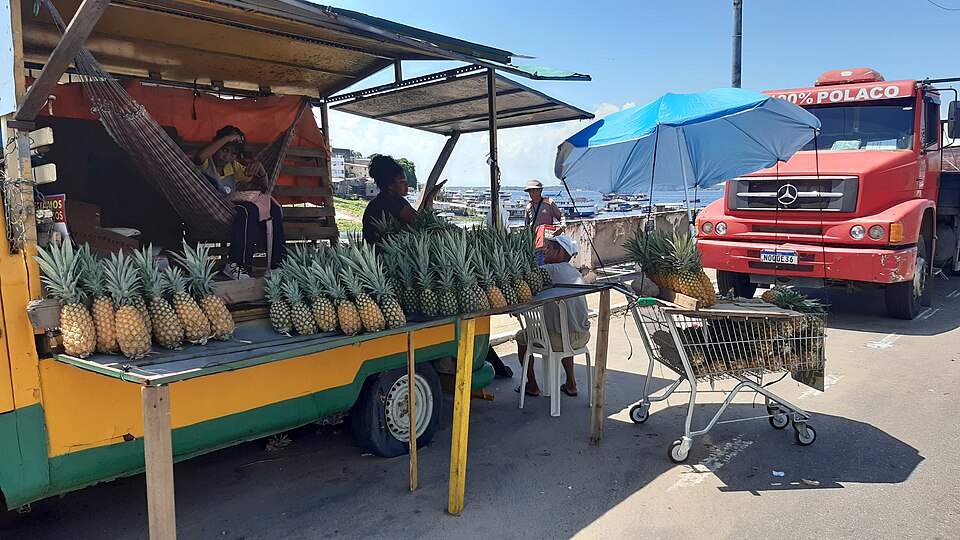 Manaus — local market for custom e-commerce platforms