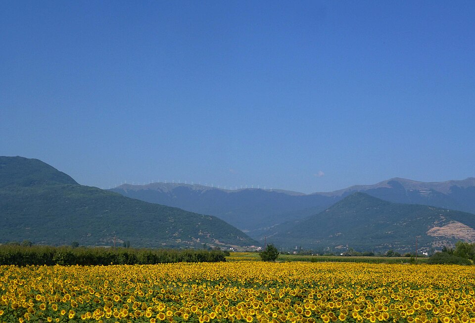 Prilep — multi-vendor marketplaces for local businesses