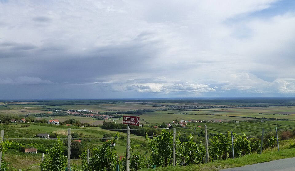 Hungary — local market for manufacturer and distributor portals