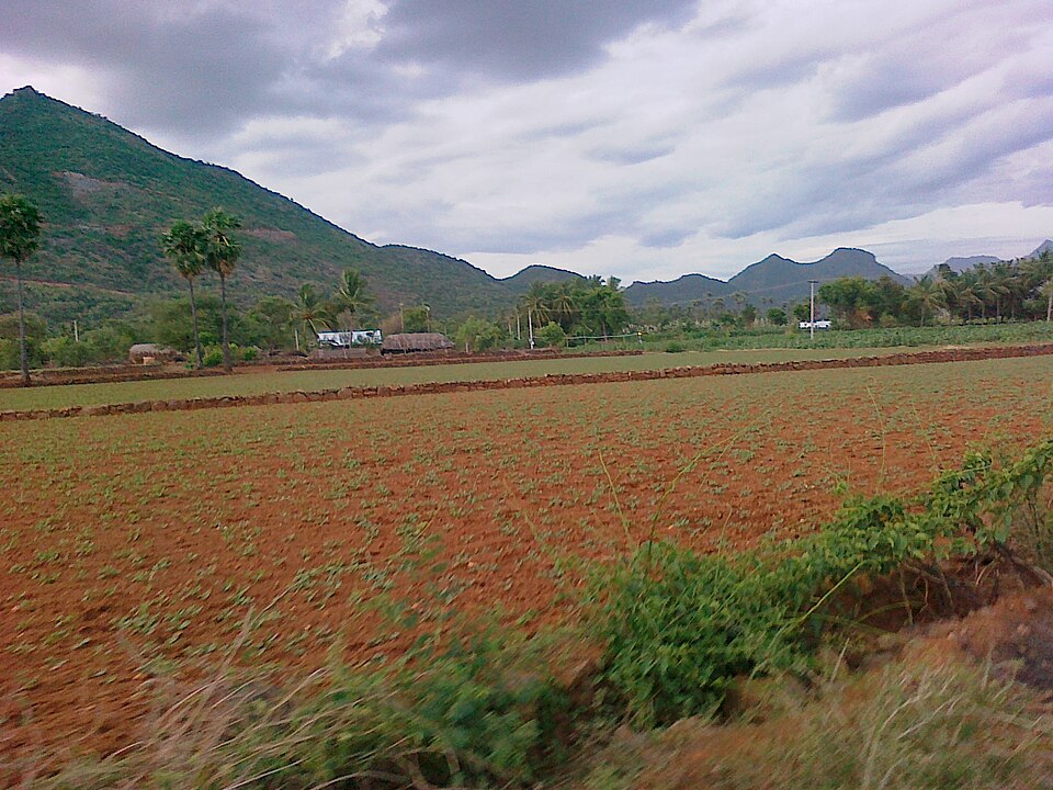 Namakkal — local market for mobile commerce apps