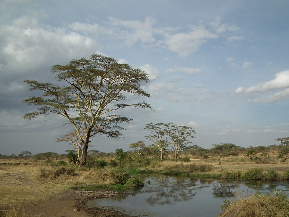 Tanzania — local market for mobile commerce apps