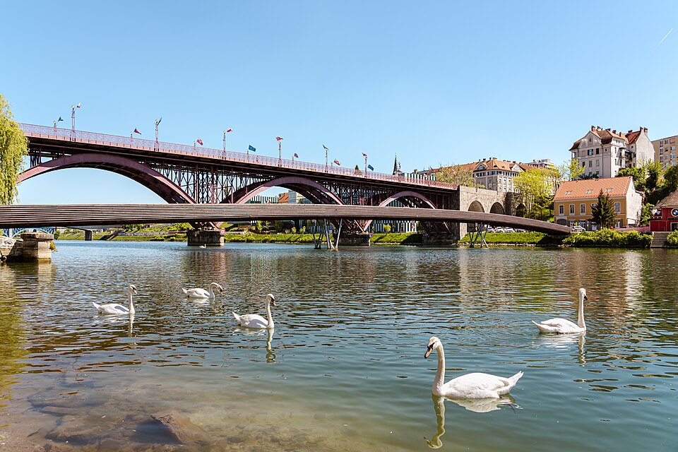 Maribor — local market for B2B and wholesale portals