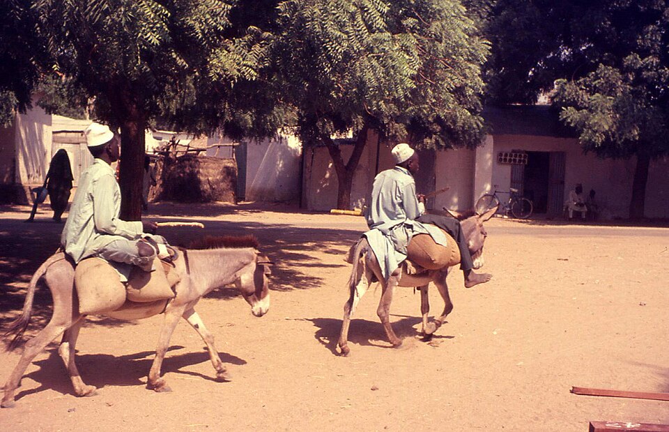Maroua — local market for multi-vendor marketplaces