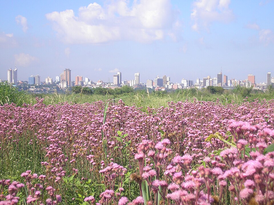 Paraguay — local market for multi-vendor marketplaces