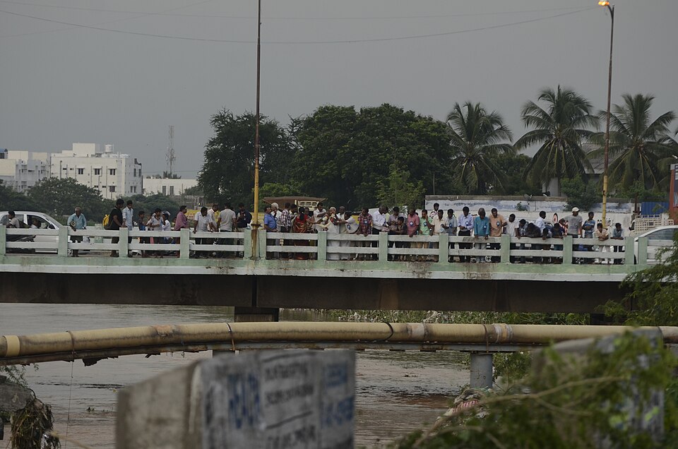 Tiruppur — local market for manufacturer and distributor portals