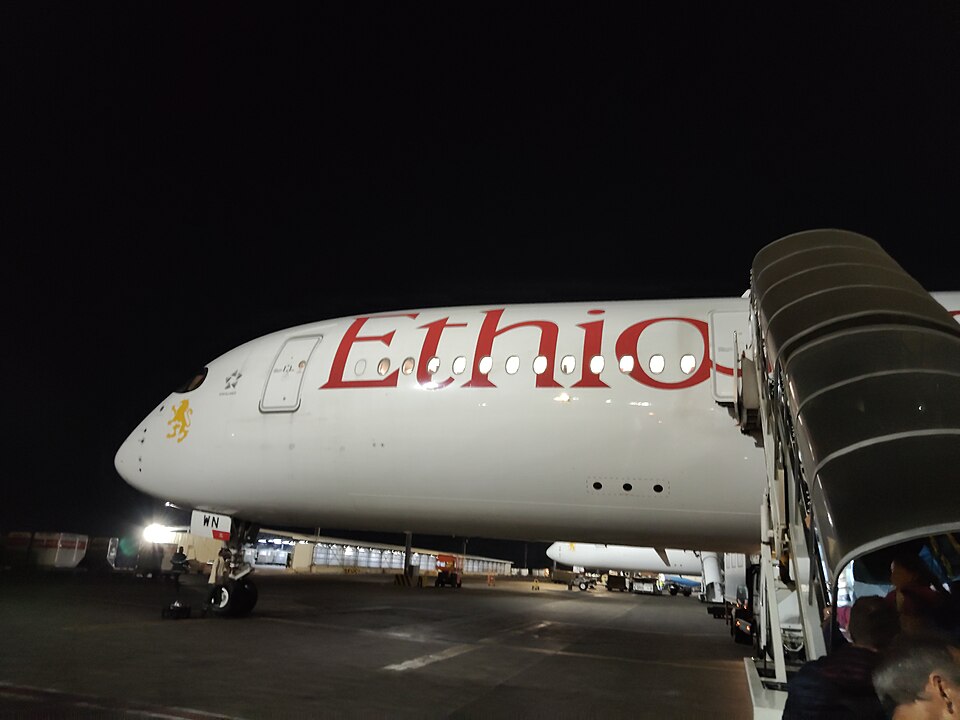 Addis Ababa — service booking platforms for local businesses
