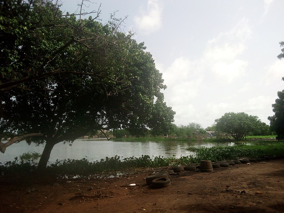 Togo — local market for multi-vendor marketplaces