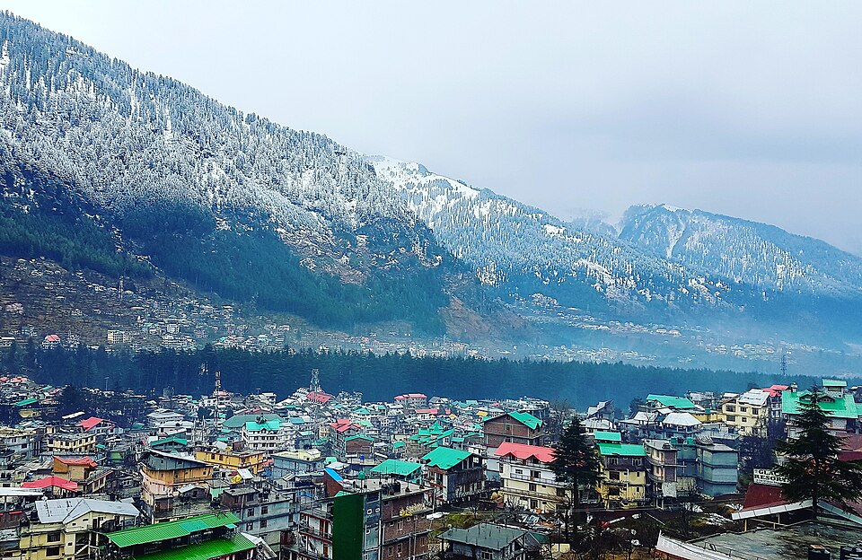 Manali — local market for online stores
