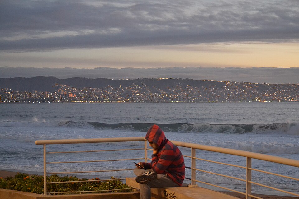Viña del Mar — online stores for local businesses