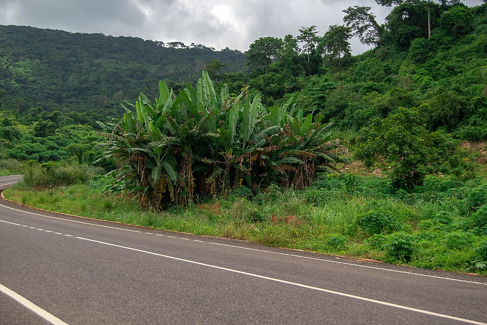 Ghana — online stores for local businesses