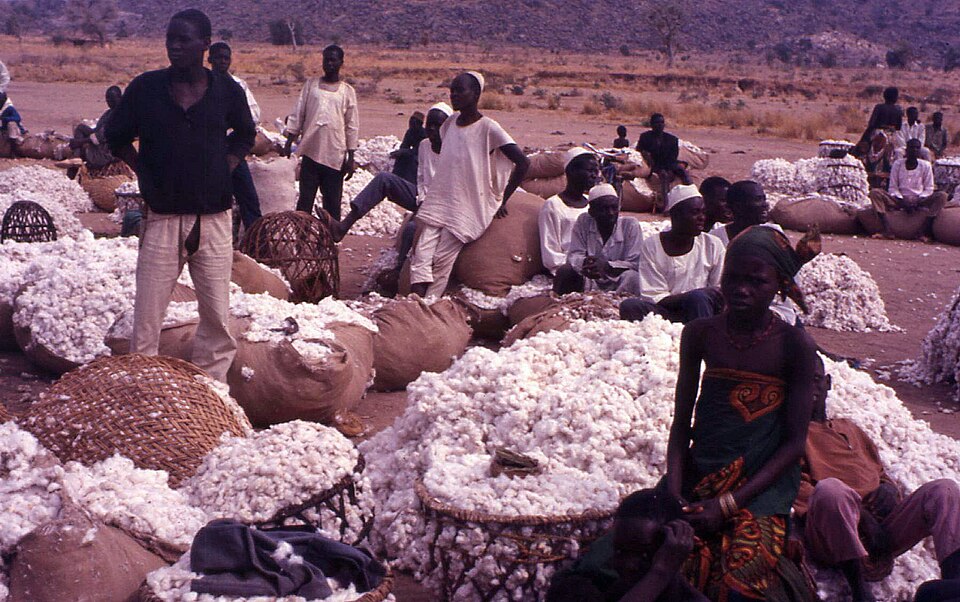 Maroua — local market for international and multi-region stores
