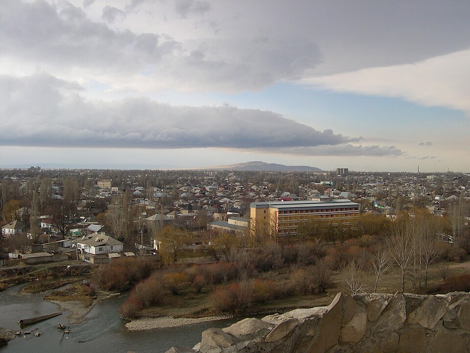 Taraz — local market for custom e-commerce platforms