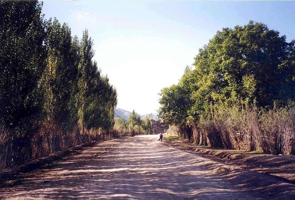 Tajikistan — local market for custom e-commerce platforms
