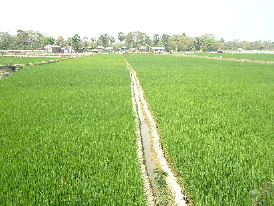 Khulna — international and multi-region stores for local businesses