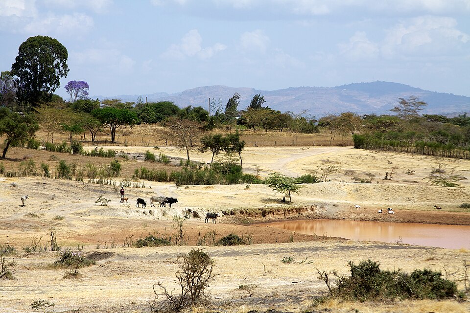 Machakos — local market for international and multi-region stores