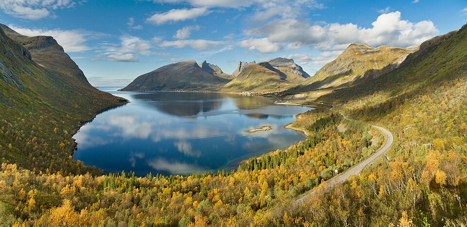 Norway — local market for multi-vendor marketplaces