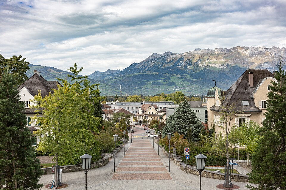 Schaan — subscription and membership platforms for local businesses