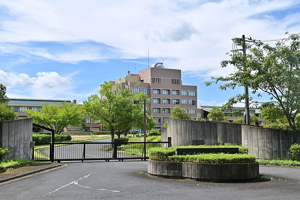 Kasama — international and multi-region stores for local businesses