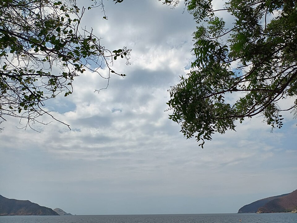 Santa Marta — local market for service booking platforms