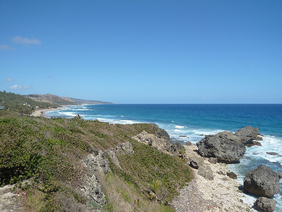 Bathsheba — local market for manufacturer and distributor portals