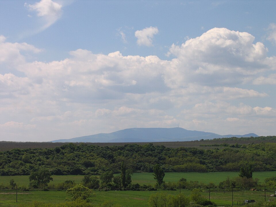 Hungary — online stores for local businesses