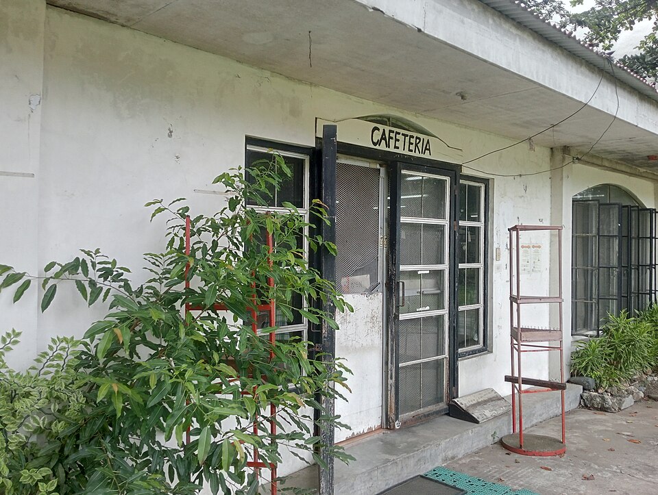 Iloilo City — service booking platforms for local businesses