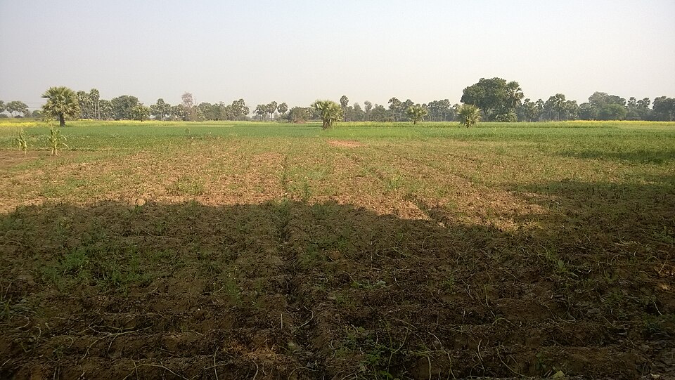 Bihar Sharif — local market for multi-vendor marketplaces