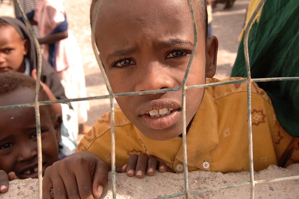 Djibouti — online stores for local businesses
