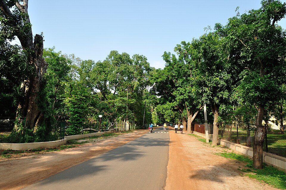 Bolpur (Santiniketan) — custom e-commerce platforms for local businesses