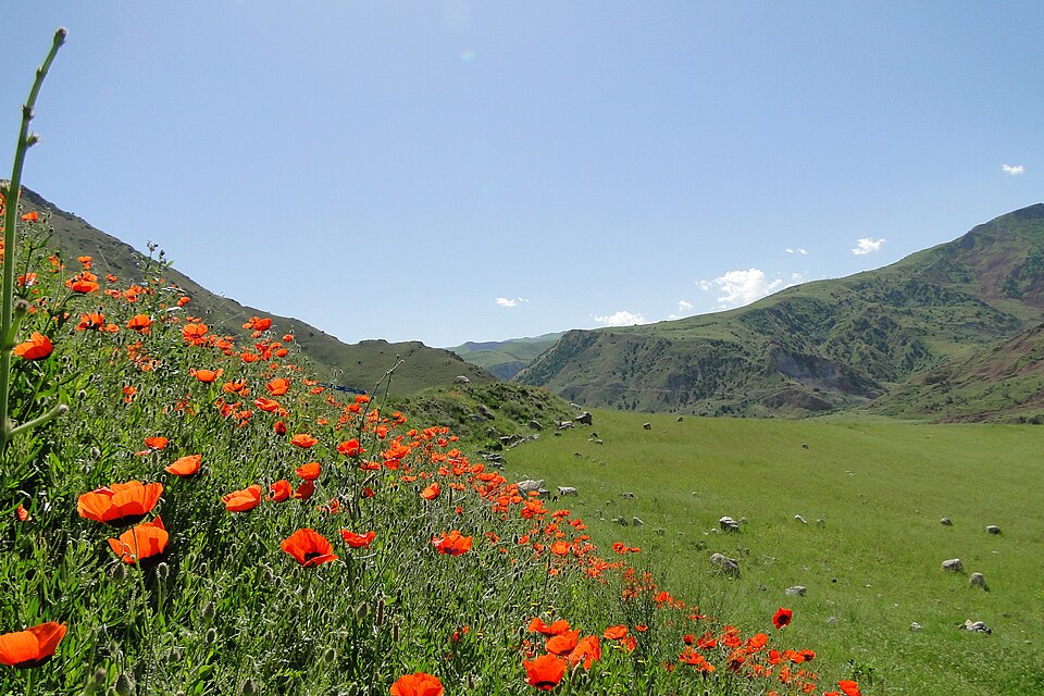 Tajikistan — local market for manufacturer and distributor portals