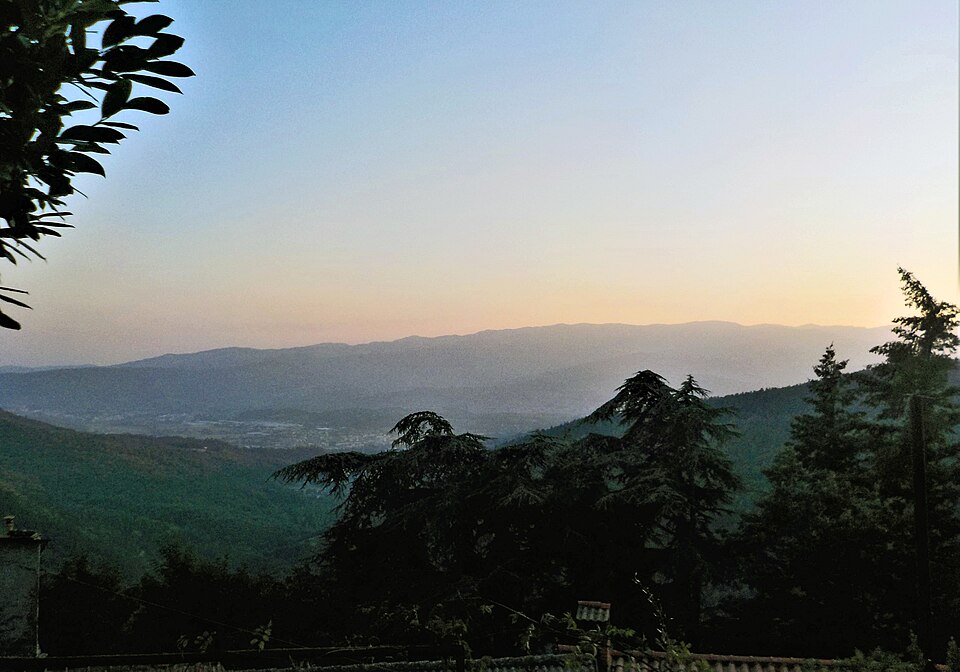 Serravalle — multi-vendor marketplaces for local businesses