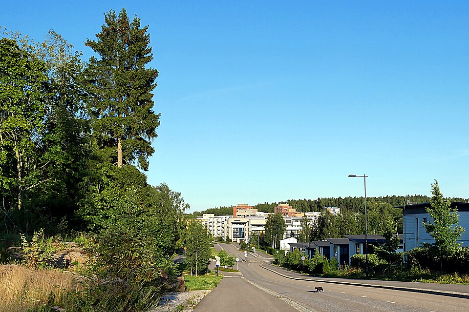 Espoo — international and multi-region stores for local businesses