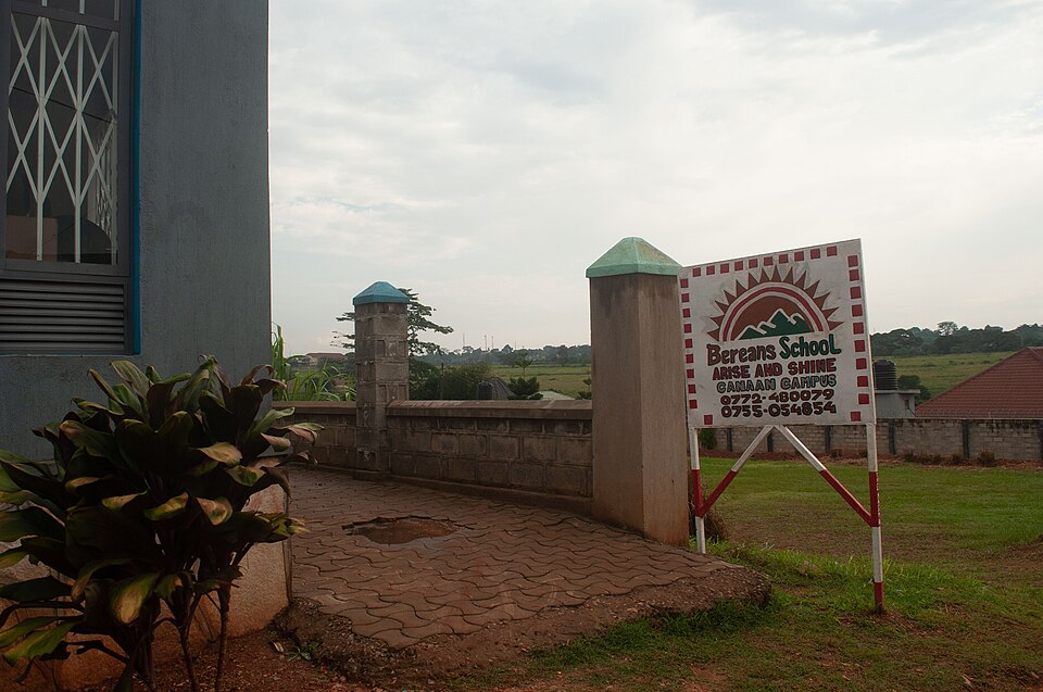 Wakiso — local market for custom e-commerce platforms