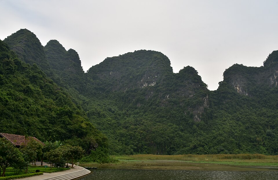 Vietnam — international and multi-region stores for local businesses