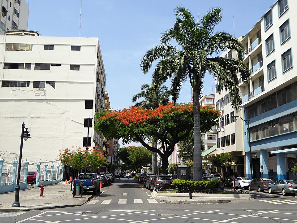 Guayaquil — online stores for local businesses