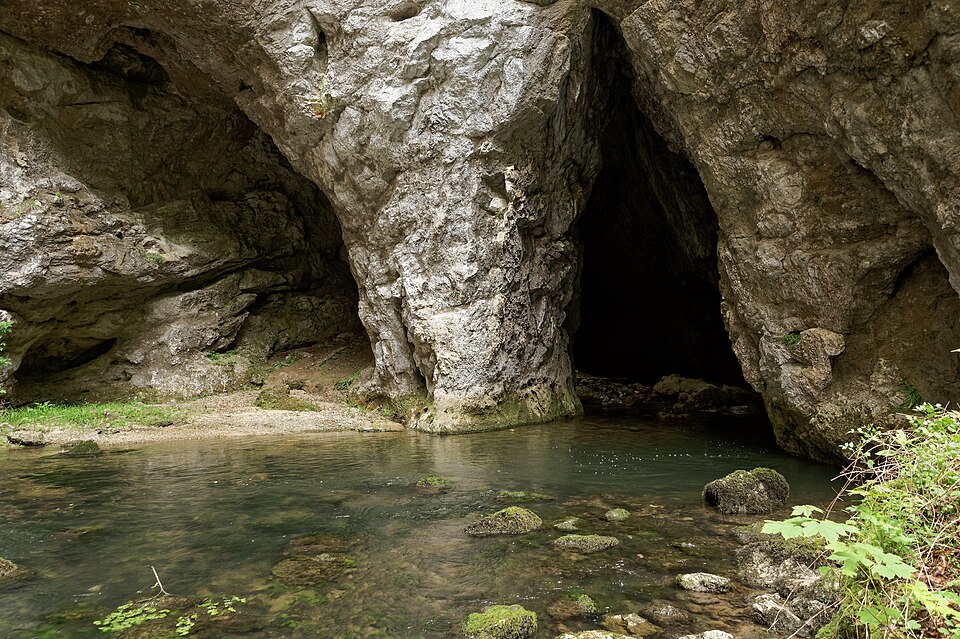 Slovenia — B2B and wholesale portals for local businesses