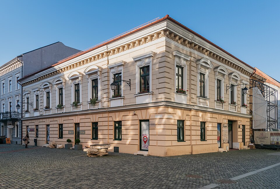 Timișoara — mobile commerce apps for local businesses