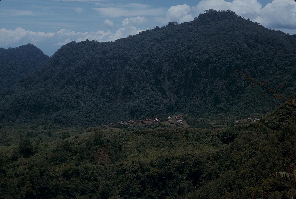 Papua New Guinea — manufacturer and distributor portals for local businesses