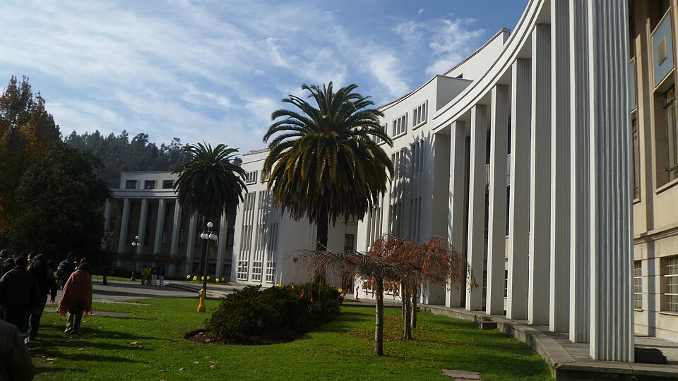 Concepción — local market for online stores