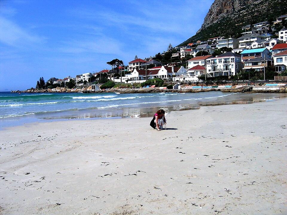 Durban — multi-vendor marketplaces for local businesses