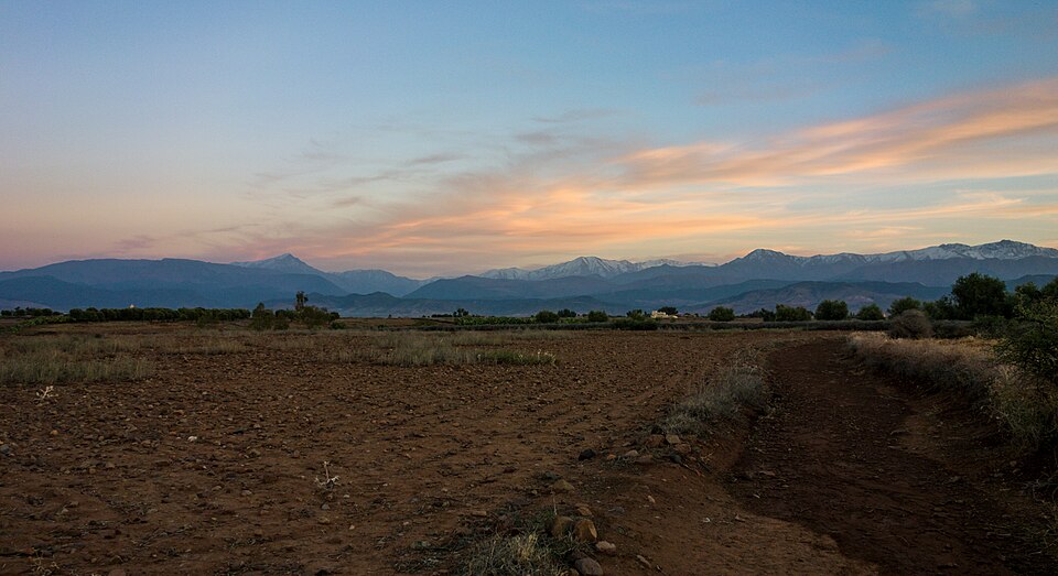 Marrakech — mobile commerce apps for local businesses