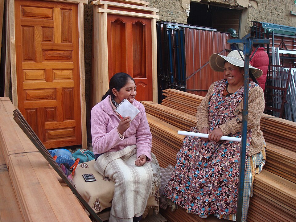 El Alto — local market for service booking platforms