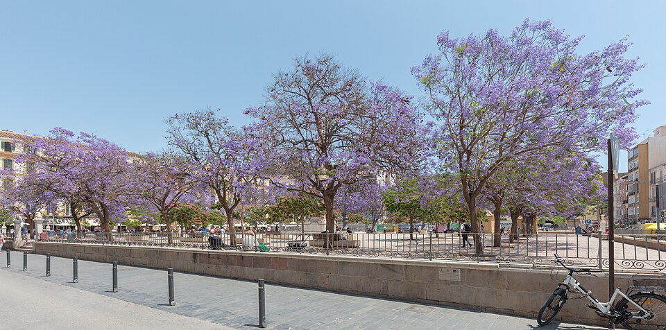 Málaga — international and multi-region stores for local businesses